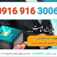 0916-916-3006