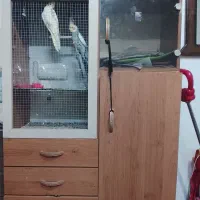 کمد بچه|جاکفشی، کمد، دراور|تربت‌حیدریه, پائین ولایت|دیوار