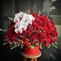 سفارش آنلاین باکس گل نامزدی عاشقانه|گل و گیاه طبیعی|تهران, جماران (نیاوران)|دیوار