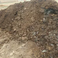 کود گاوی خشک یک ساله