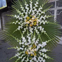 پایه گل ترحیم وتبریک|گل و گیاه طبیعی|مشهد, آبکوه|دیوار