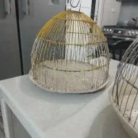 قفس کوچک|لوازم جانبی حیوانات|قم, پردیسان|دیوار