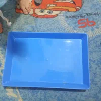 سینیای پلاستیکی