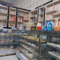 یخچال و ویترینی ایستاده فریدونی