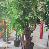 تولید و توزیع انواع درختچه مصنوعی