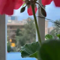 قالب سیلیکونی سنگ مصنوعی و شمع