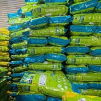 فیدار گربه بالغ حمایتی برای حامی همکار