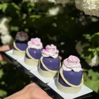 دوره مستردسر|خدمات آموزشی|تبریز, |دیوار