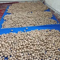 گردو|خوردنی و آشامیدنی|هشتگرد, تهران دشت|دیوار