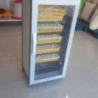 دستگاه جوجه کشی ققنوس هوشمند|لوازم جانبی حیوانات|هشتگرد, هیو|دیوار