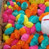 دعوت دوستان ۱۵۰تومن