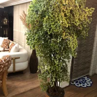 درختچه مصنوعی وارداتی با تنه طبیعی درخت و گلدان نو