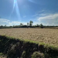 زمین-کشاورزی-4800-متری-سنتی