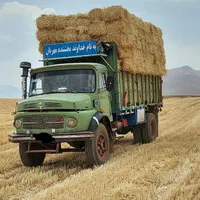 فروش عمده خوراک دام جو، یونجه ،کاه ،سبوس ،چاپر|لوازم جانبی حیوانات|خمینی‌شهر, |دیوار