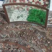 آکواریوم