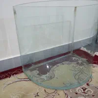 آکواریوم|ماهی|اهواز, پادادشهر|دیوار