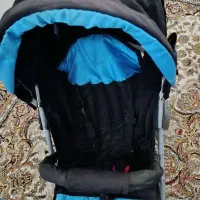 کالسکه عصایی