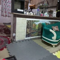 اجاره خانه باغ