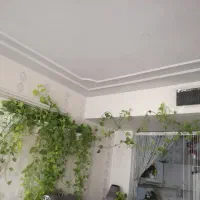 گل پتوس|گل مصنوعی|مشهد, یاس|دیوار