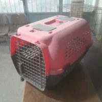 باکس حیوانات