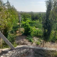 باغ ویلا چسب بافت شهری