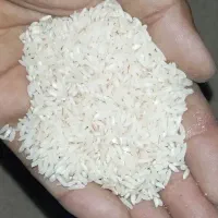فروش برنج طارم هاشمی