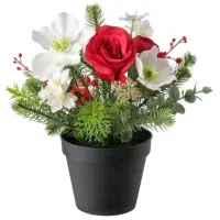 درخواست راهنمایی