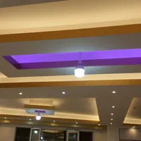 نقاشی ساختمان*تک*|خدمات پیشه و مهارت|زنجان, |دیوار