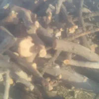 خرید و برش انواع چوب باغی|خدمات باغبانی و درختکاری|قائن, |دیوار