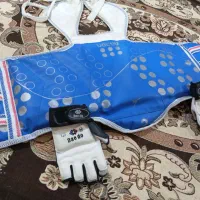 هوگو تکواندو و دستکش