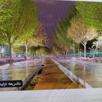 زمینهای-ارتفاع-گیر-جابر-بر-مادی-رستگار-200متر