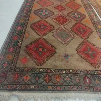 قالی پشم در پشم قدیمی ترکی دست بافت|فرش|شهرضا, |دیوار