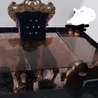 غذا خوری سلطنتی ۴ نفره