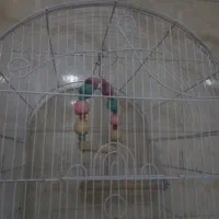 قفس|لوازم جانبی حیوانات|تهران, جوادیه|دیوار