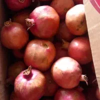 انار شیراز|خوردنی و آشامیدنی|قم, آرامستان بهشت معصومه|دیوار