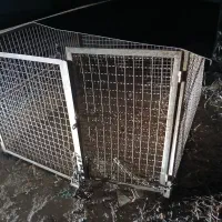 قفس بزرگ|لوازم جانبی حیوانات|کازرون, |دیوار