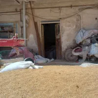 خانه