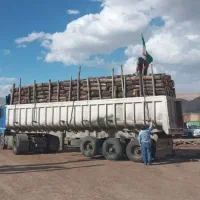 خرید چوب به بالاترین قیمت