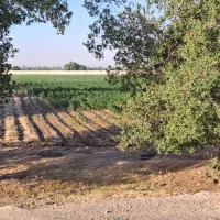 فروش 5000 متر زمین جنب اتوبان خوش قطعه|فروش دفتر صنعتی، کشاورزی، تجاری|اندیمشک, |دیوار