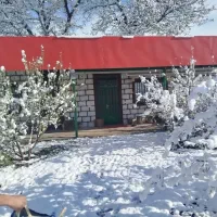 بنای اوستا محمد|خدمات پیشه و مهارت|سراب, |دیوار