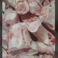 کله باچه واستخوان وقلم