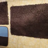 پادری