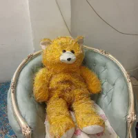 خرس عروسکی نو نیست