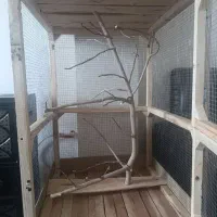 قفس چوبی نو ابعاد یک متر د هفتاد سانت