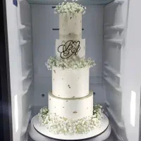 کیک عروسی با طراحی لوکس و قیمت کاملاً منصفانه|خدمات پذیرایی، مراسم|اهواز, زندوکیلی|دیوار