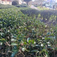 واحد آپارتمان ۶۵متری