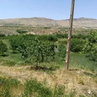 باغ سپیدان معاوضه با دنا پلاس سورن پلاس تارا|فروش زمین و ملک کلنگی|سپیدان, |دیوار