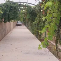 باغ ویلا ۲۰۰۰متری برق کشاورزی هشت بهشت
