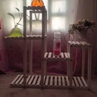 شلف
