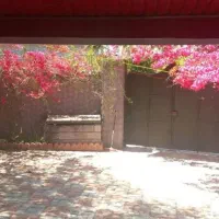 ۲۰۰متری سند تک برگ کاله